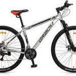 Bicicleta Gri-Bom 2953 Aspen