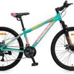 Bicicleta Gri-Bom 2912 SHERWOOD